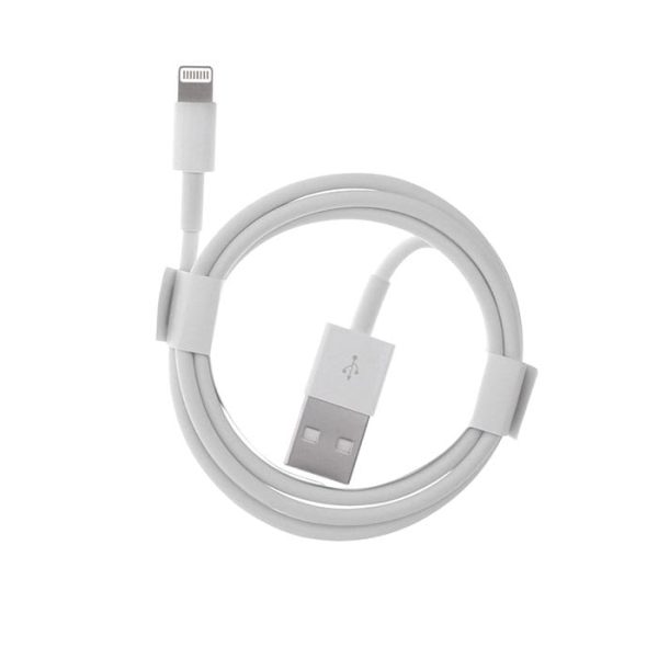 Apple Foxconn Charger